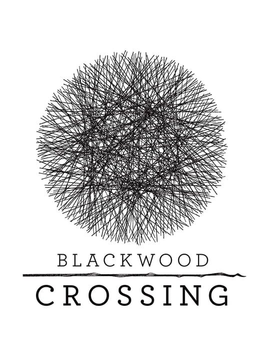 Immagine di copertina del videogioco Blackwood Crossing