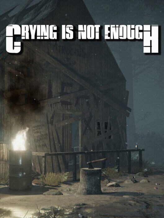 Copertina del videogioco Crying is not Enough