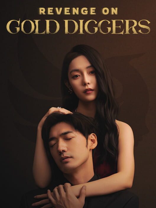 Copertina ufficiale del videogioco Revenge on Gold Diggers.