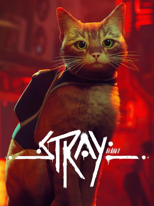 Copertina ufficiale del videogioco Stray