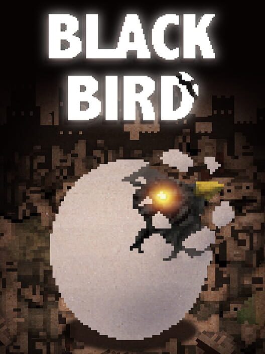 Copertina ufficiale del videogioco BLACK BIRD.